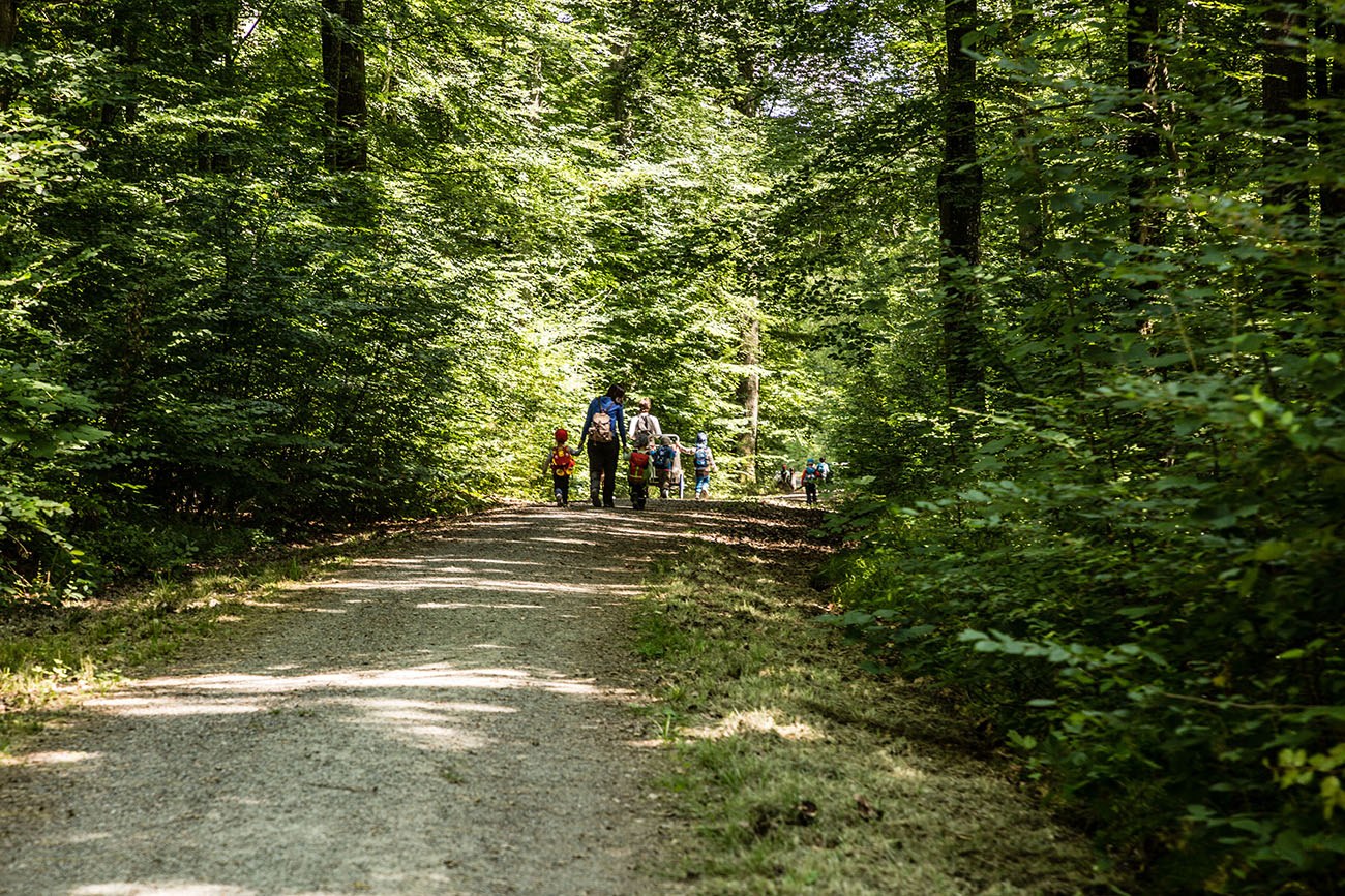 Rueckweg